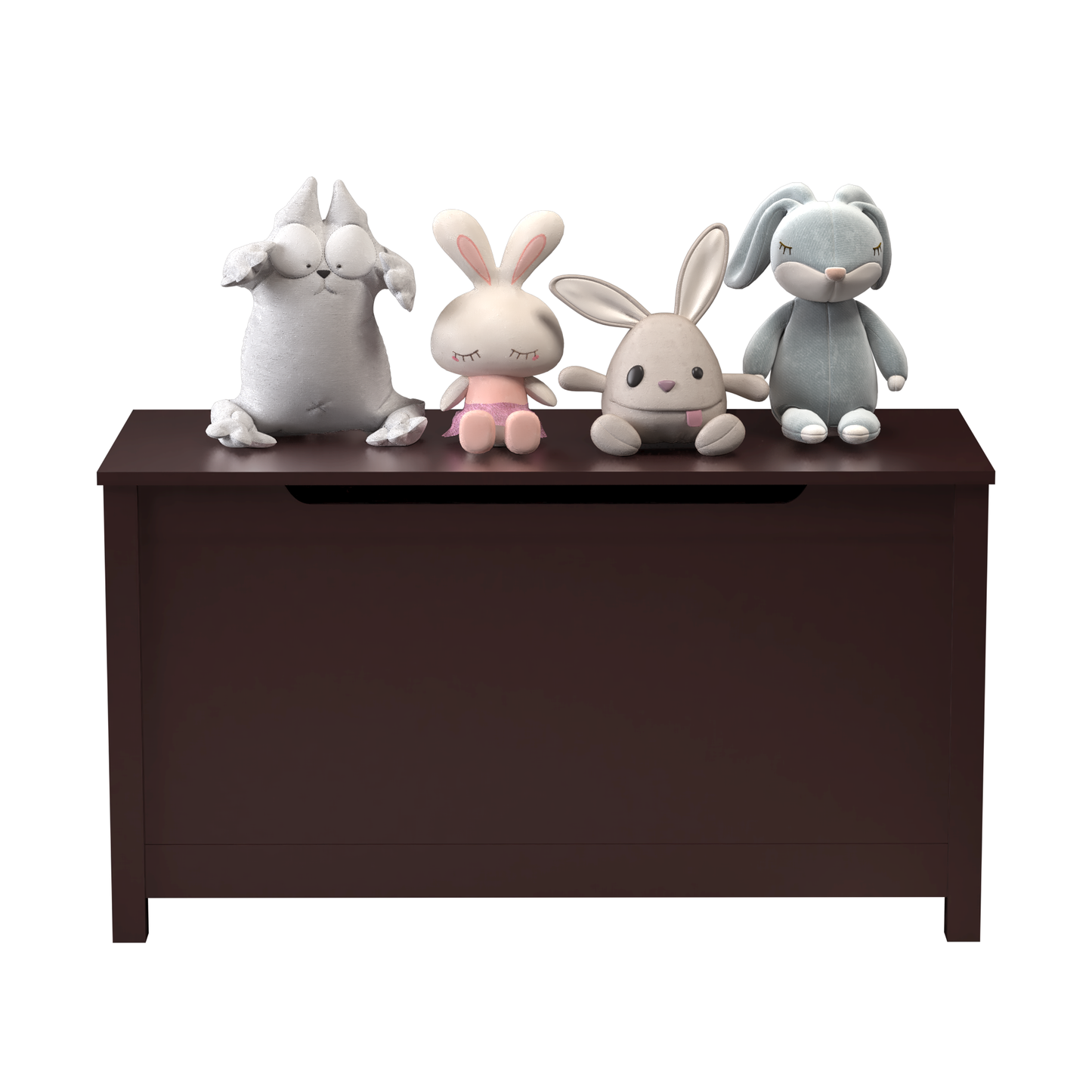Luz Craftsman Wooden Toy Storage Box