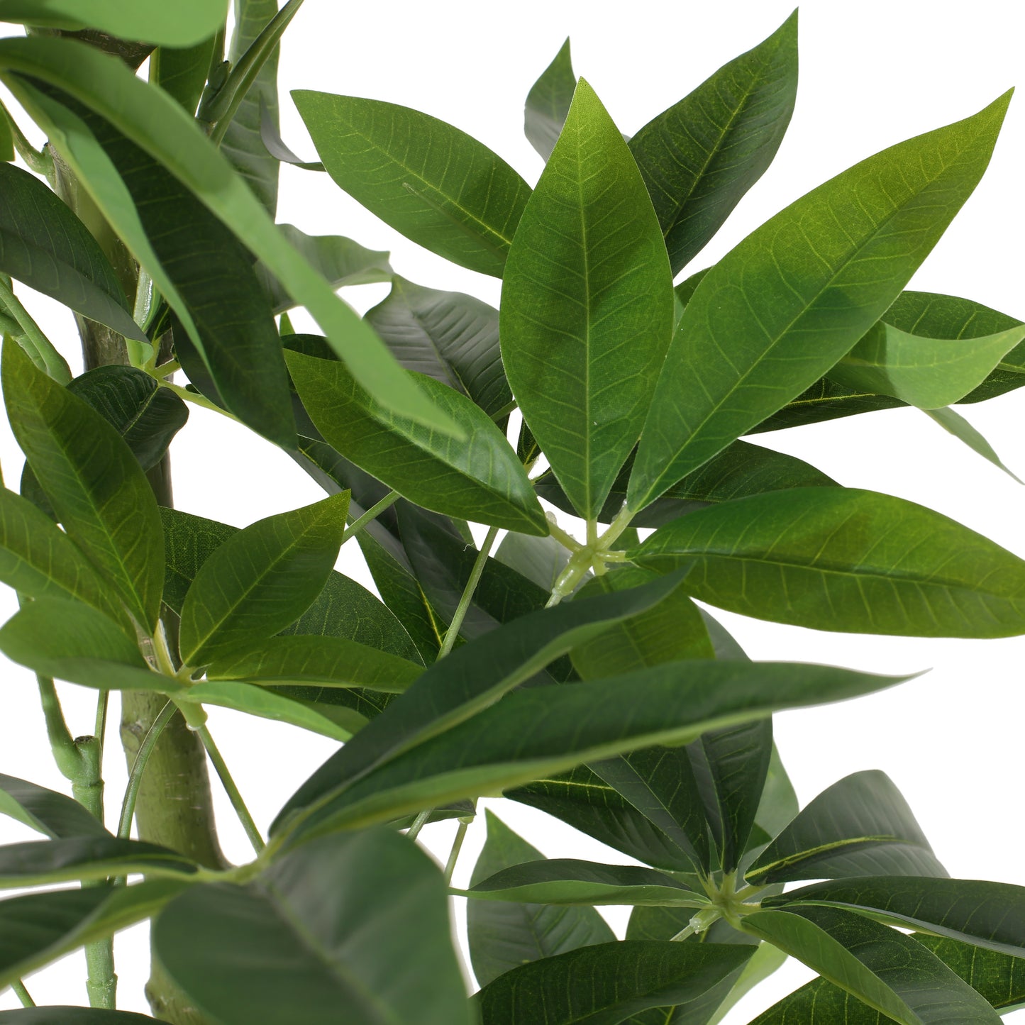Fitch Contemporary Artificial Plant
