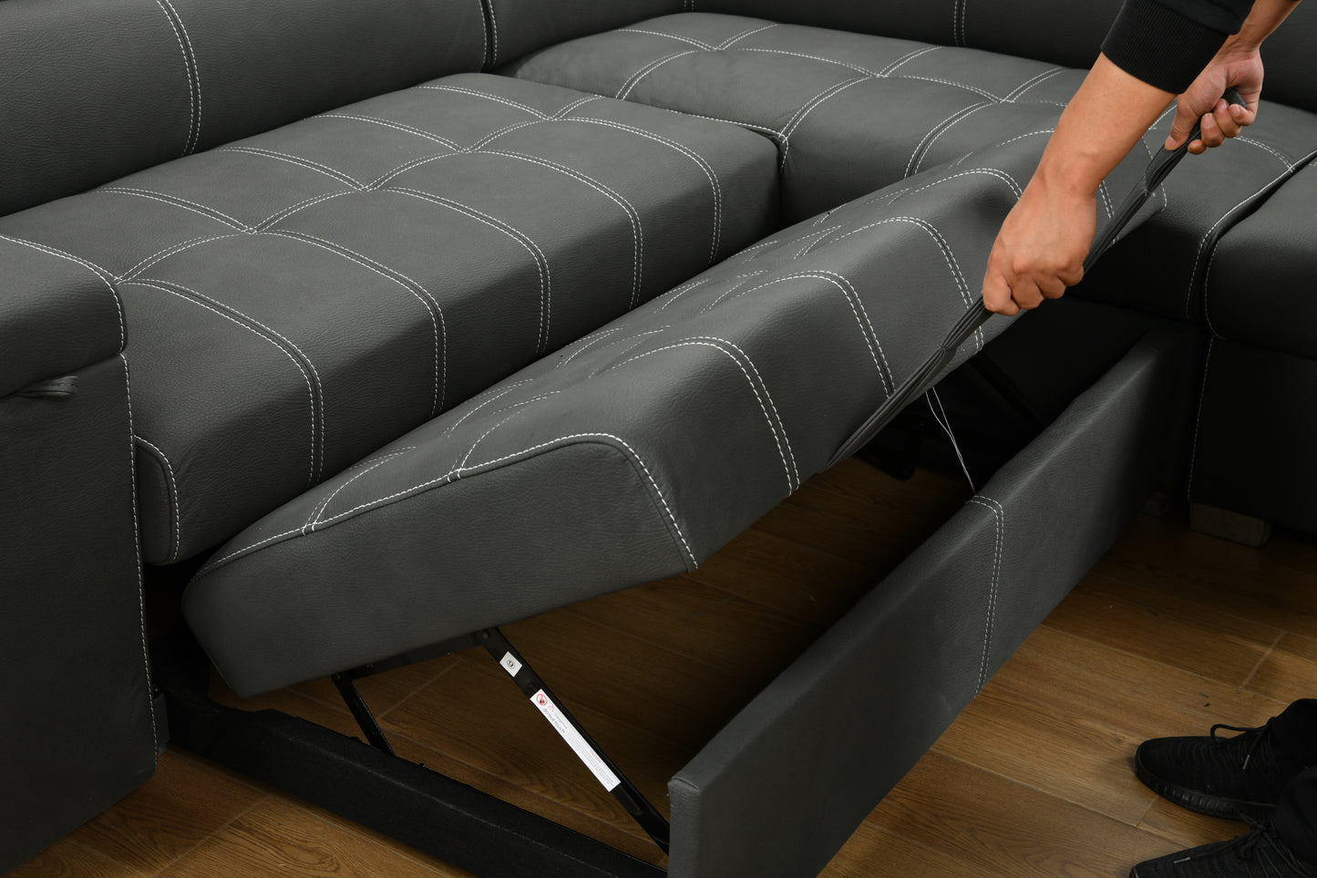 Luz Modern Convertible Sofa Bed