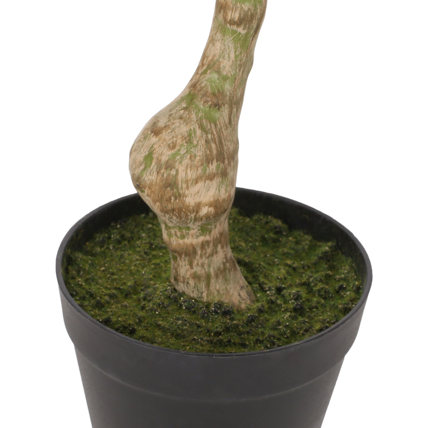 Amity Contemporary Artificial Plant