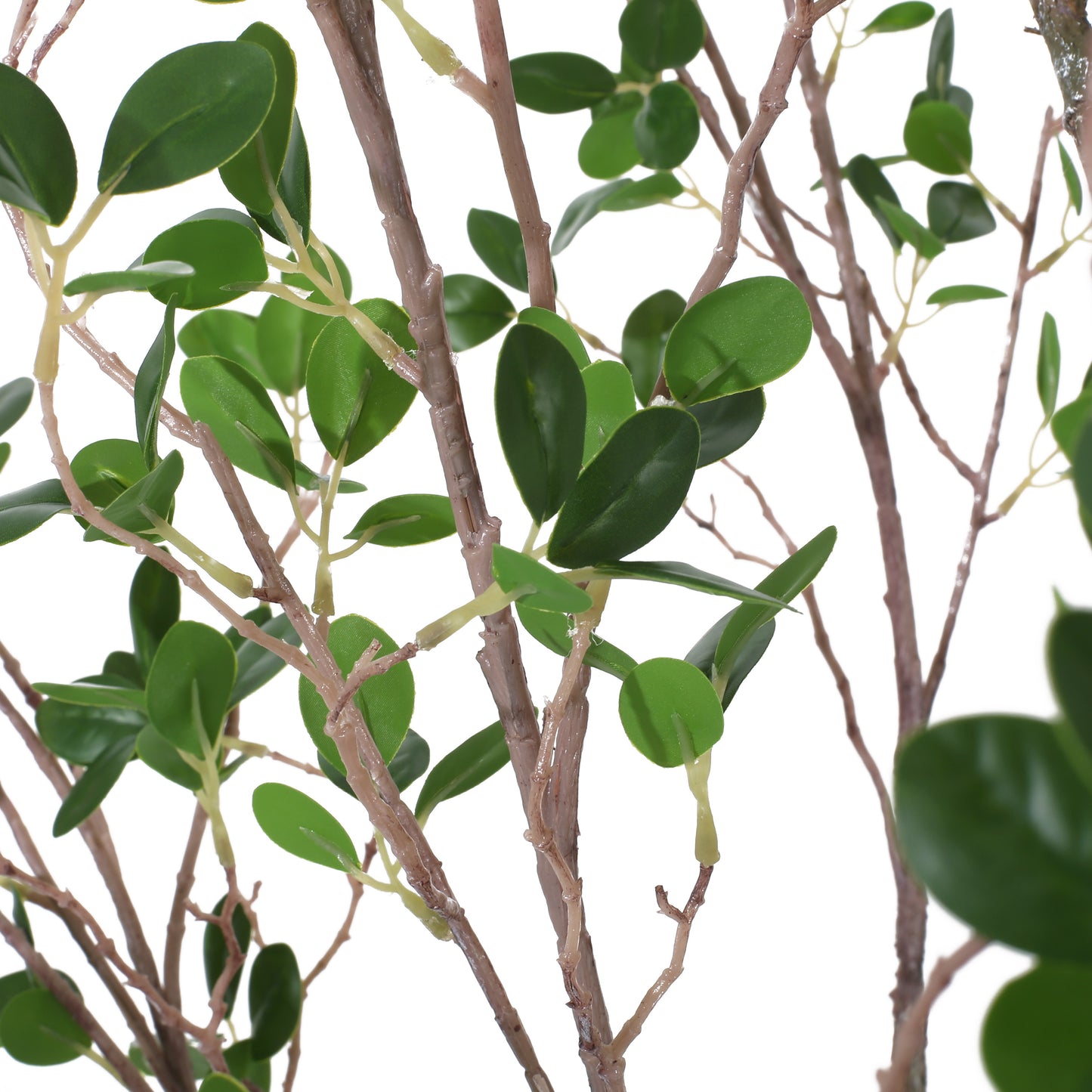Sonoma Contemporary Elegant Artificial Leaf