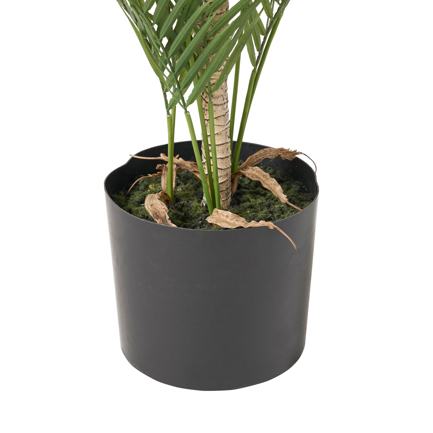 Cleo Contemporary Royal Palm Artificial Tree