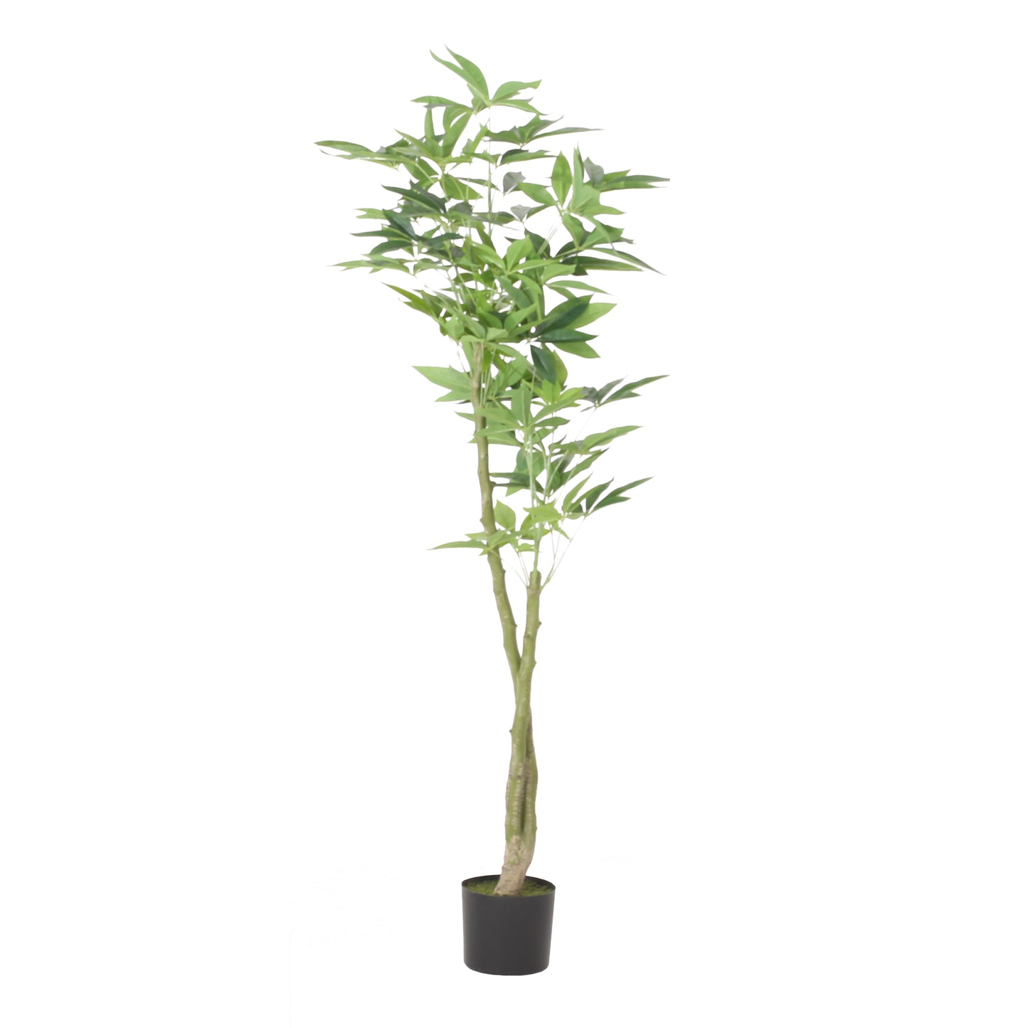 Fitch Contemporary Artificial Plant
