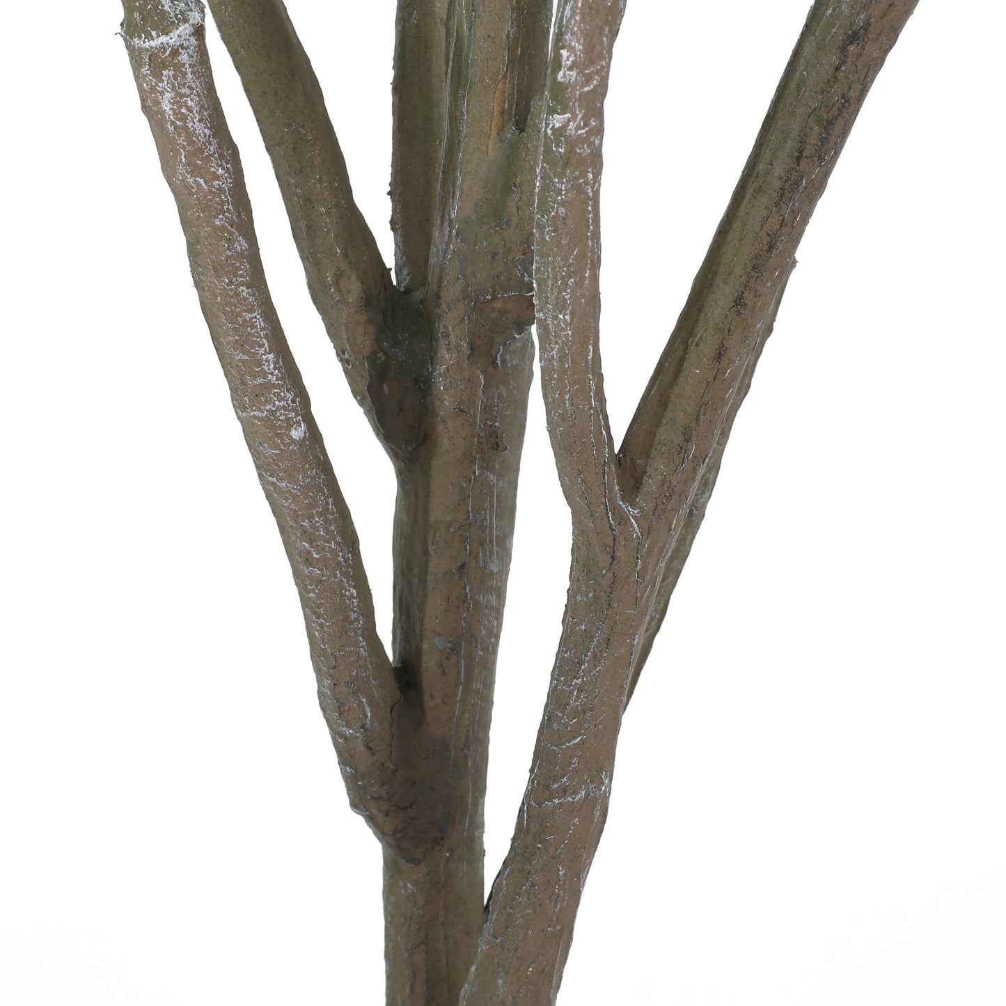 Sonoma Contemporary Elegant Artificial Leaf
