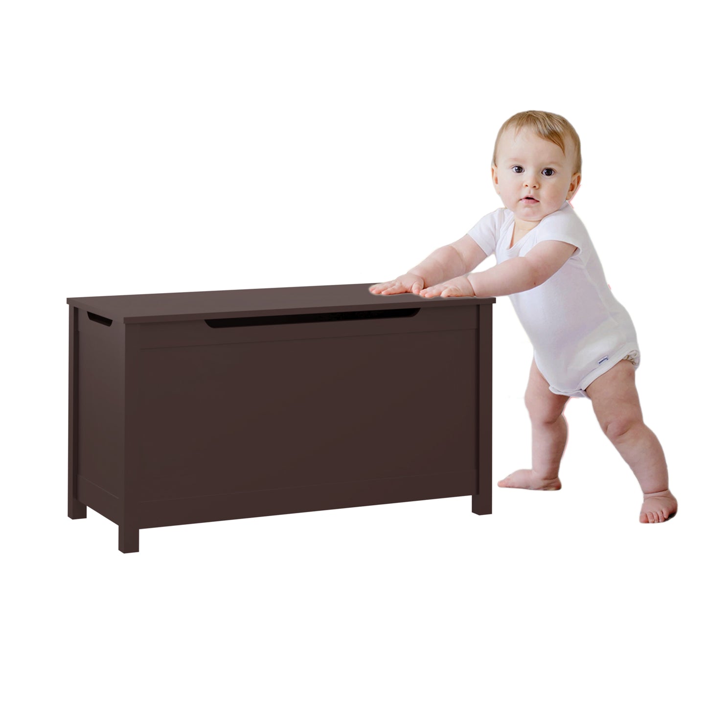 Luz Craftsman Wooden Toy Storage Box
