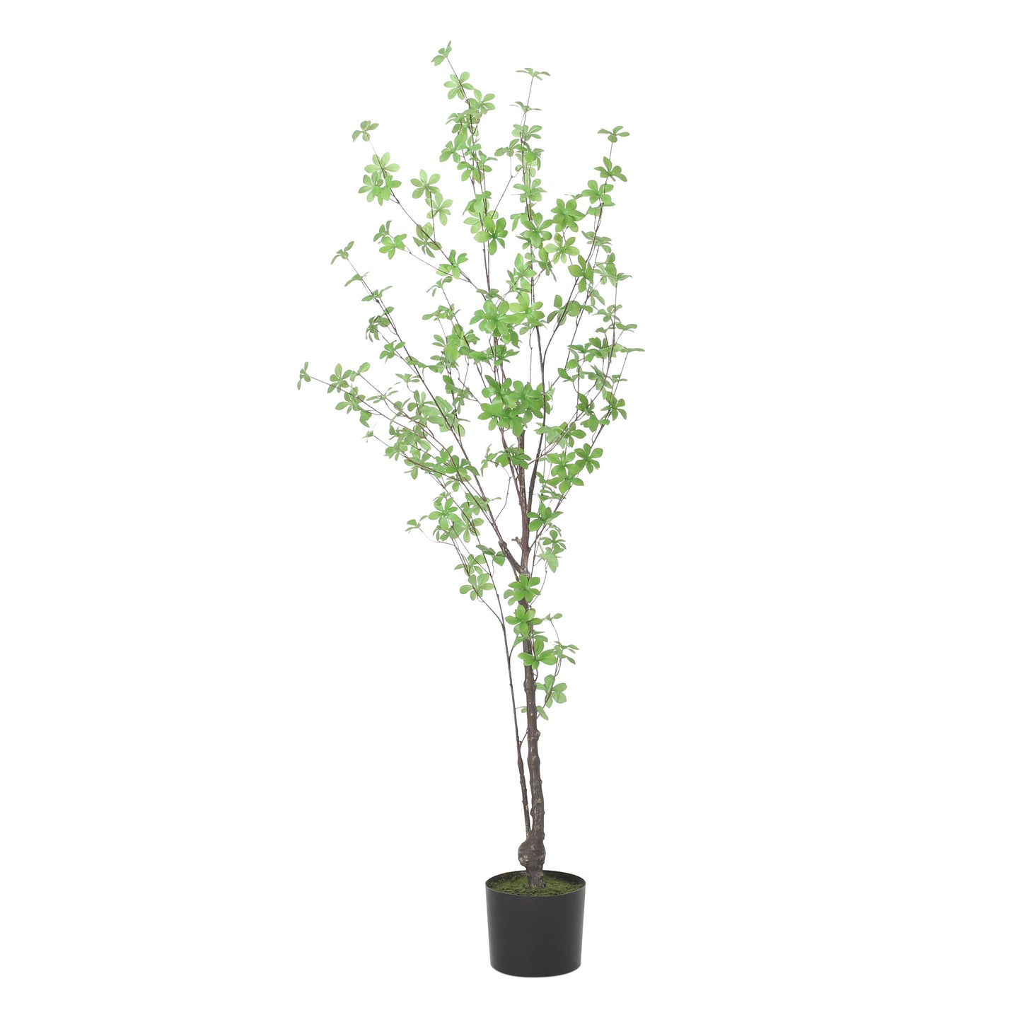 Bartholomew Modern Leaf Artificial Tree