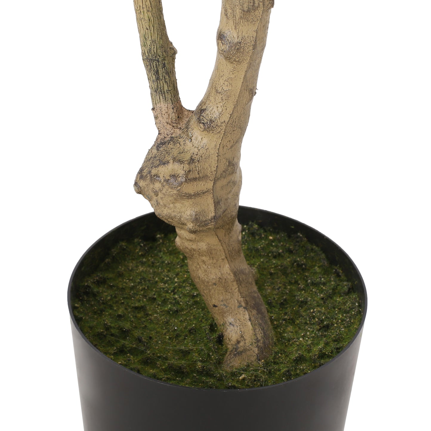 Healdsburg Contemporary Artificial Decorative Plant