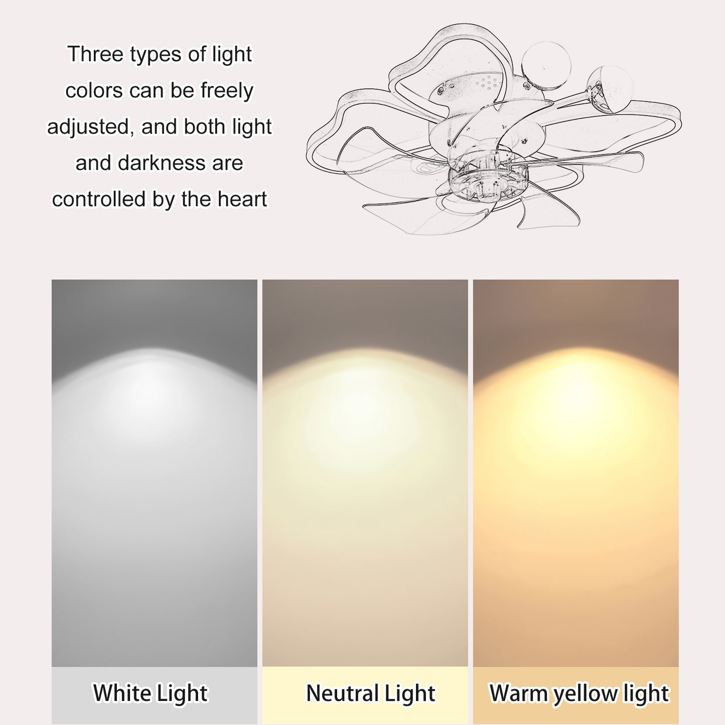 Eda Contemporary Butterfly Ceiling lights