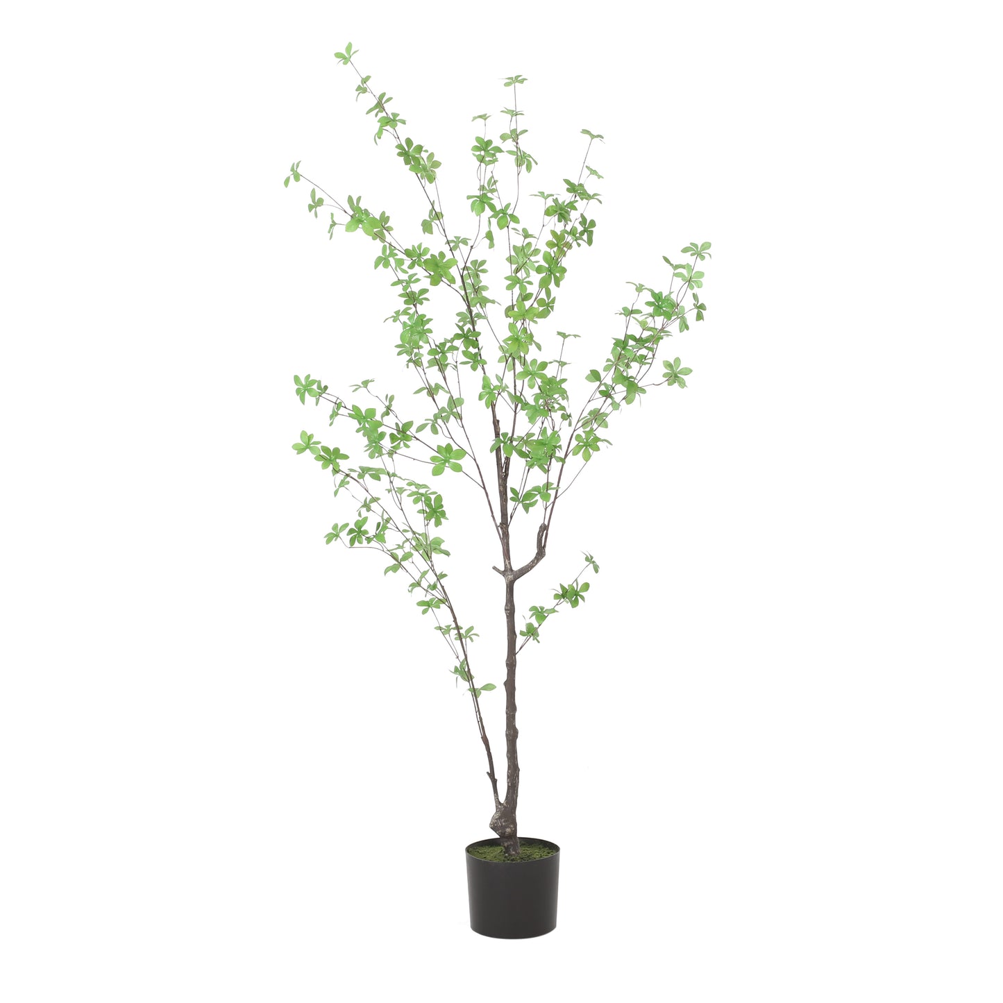 Bartholomew Modern Leaf Artificial Tree