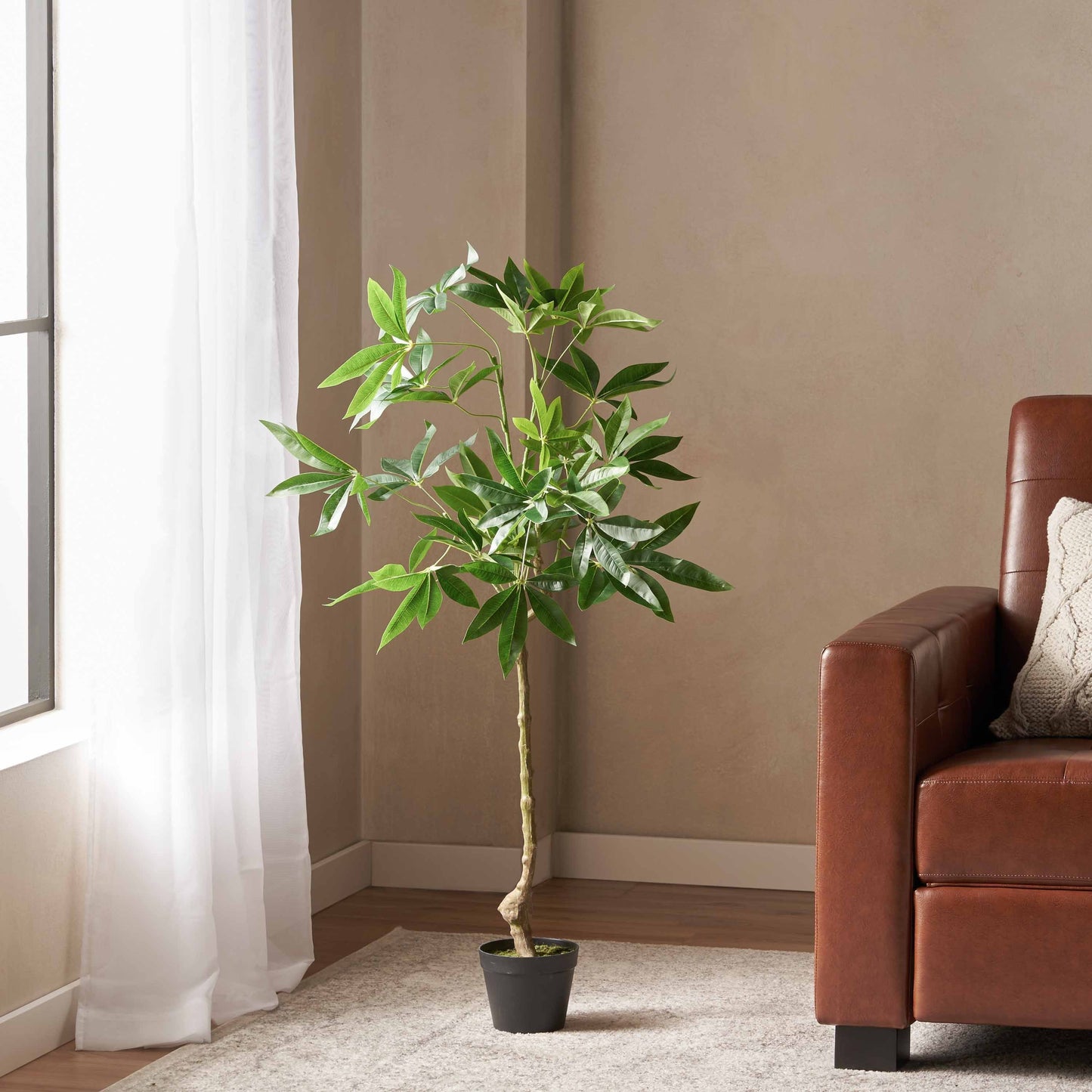 Amity Contemporary Artificial Plant
