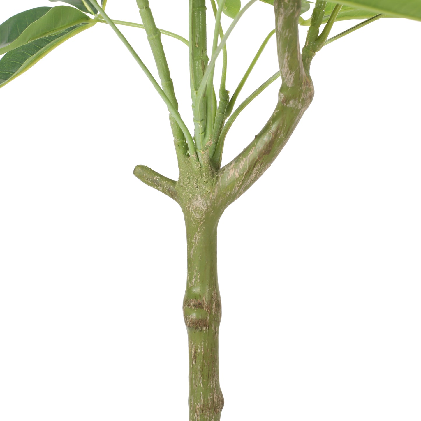 Amity Contemporary Artificial Plant