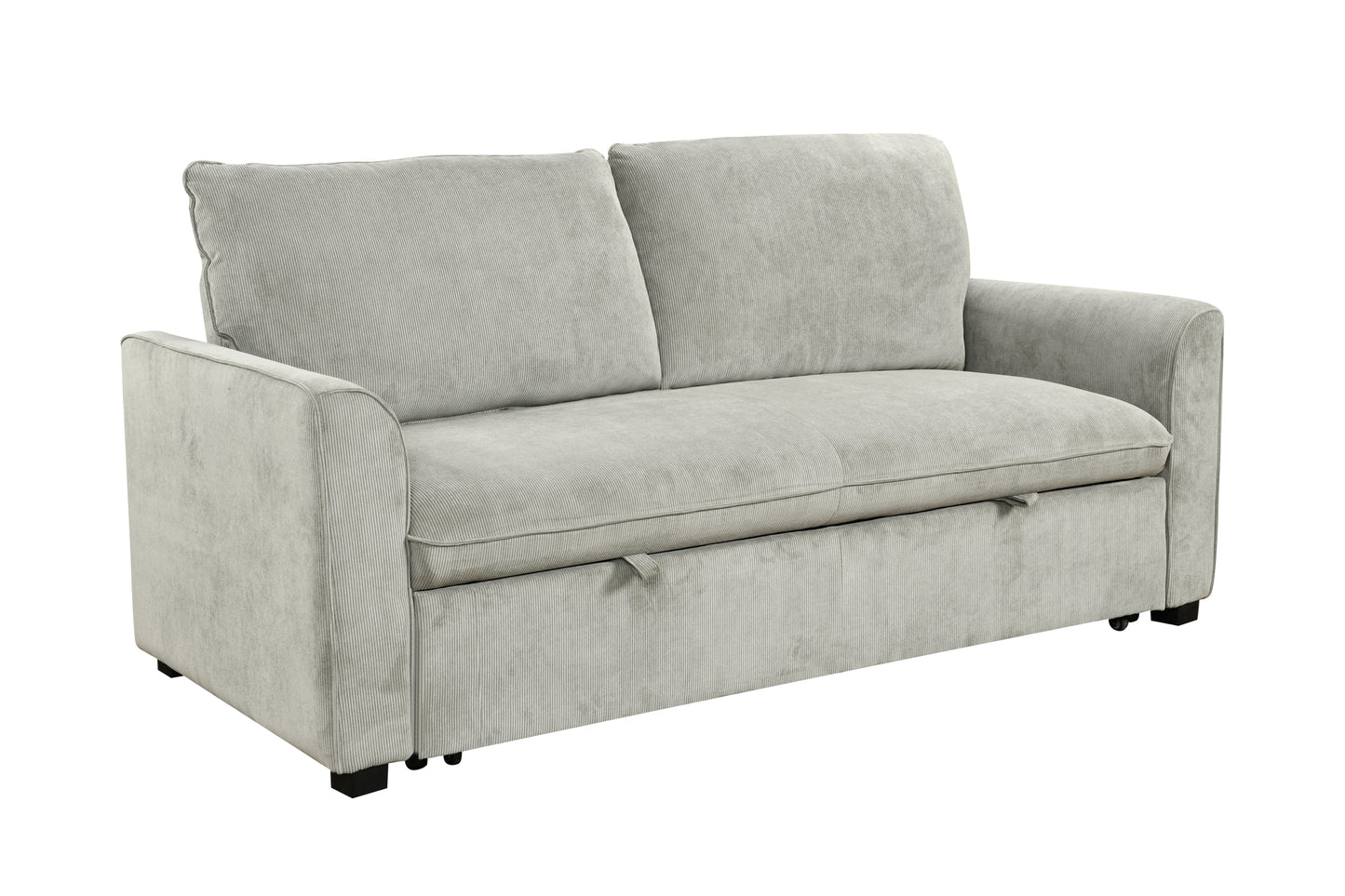 Fremont Modern Convertible Sleeper Sofa Loveseat