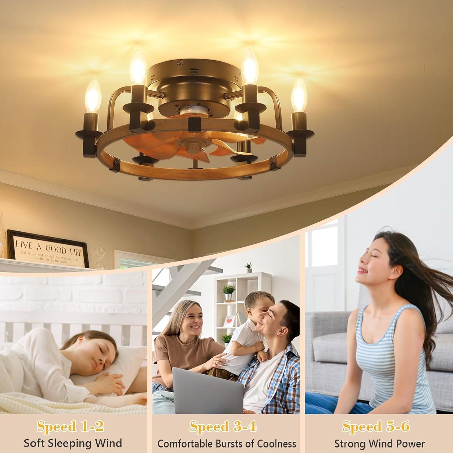 Warmsprings Modern Dimmable Ceiling Fan Light