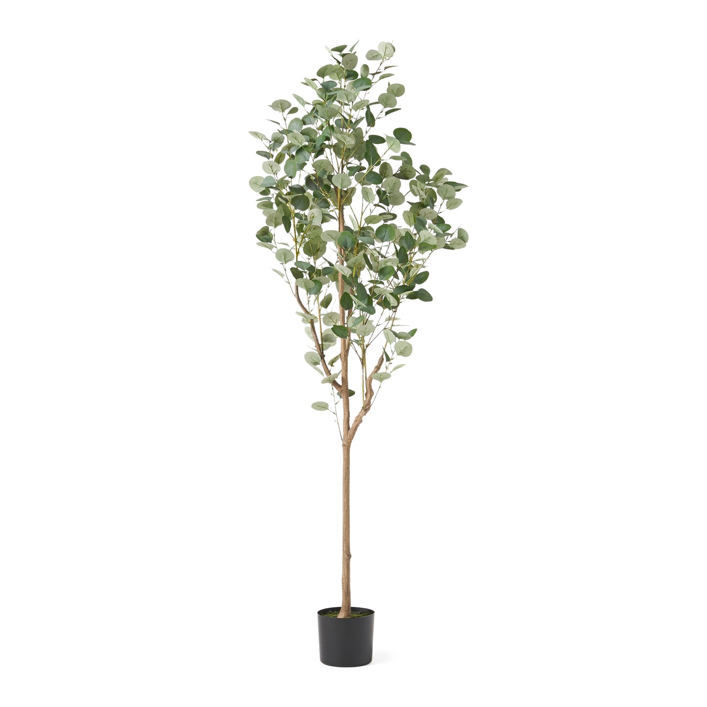 Ghivi Modern Decorative Tree