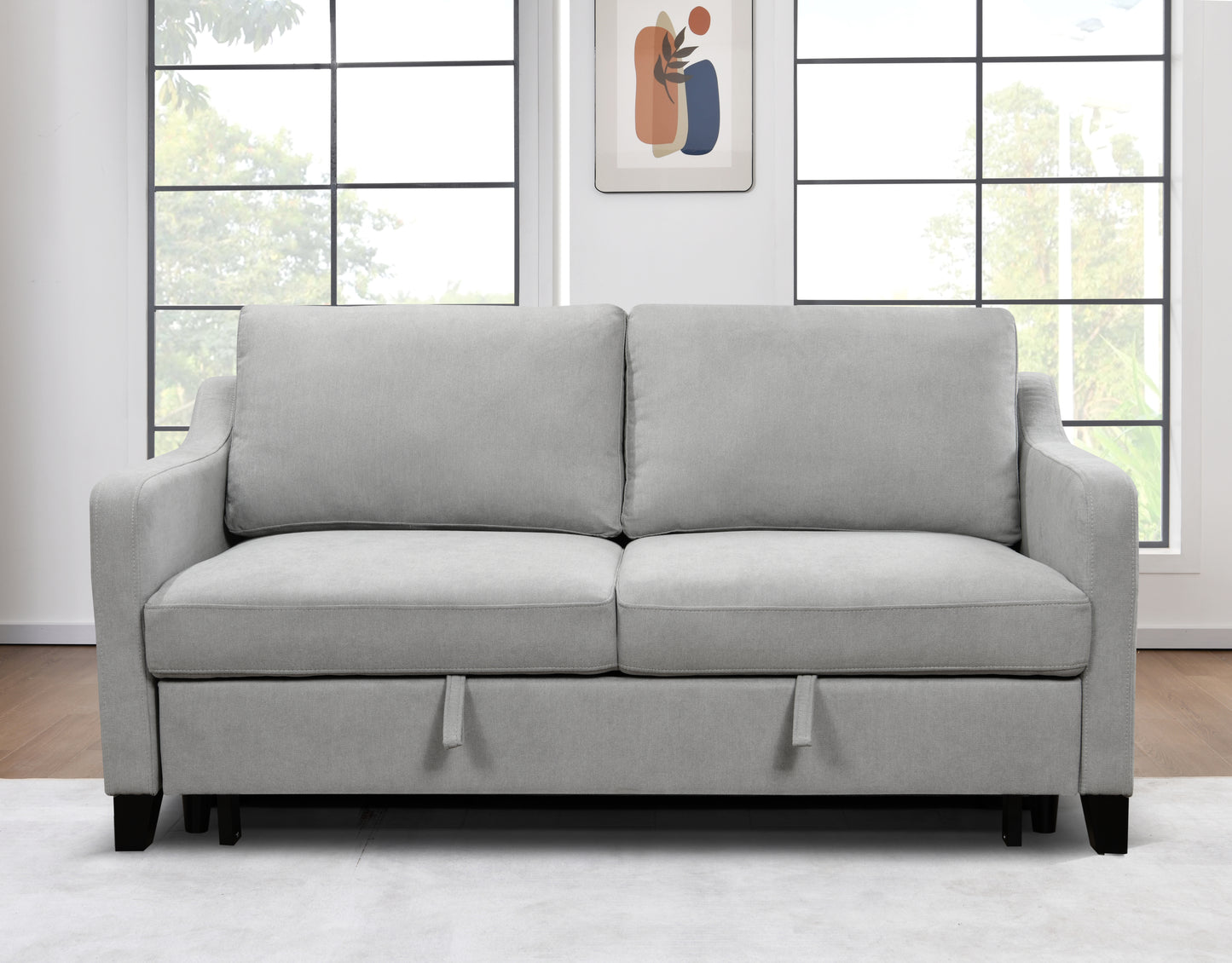 Fitch Contemporary Velmont Convertible Queen Sofa