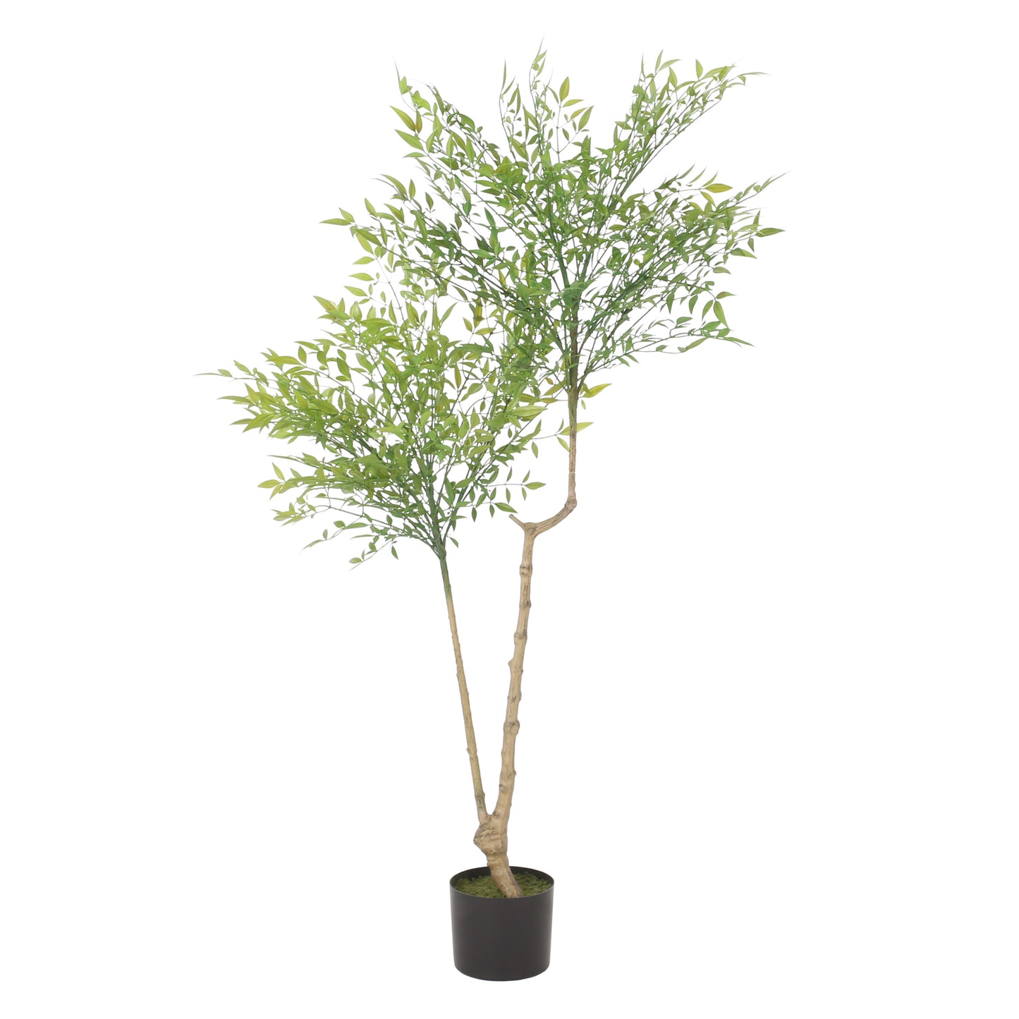 Healdsburg Contemporary Artificial Decorative Plant