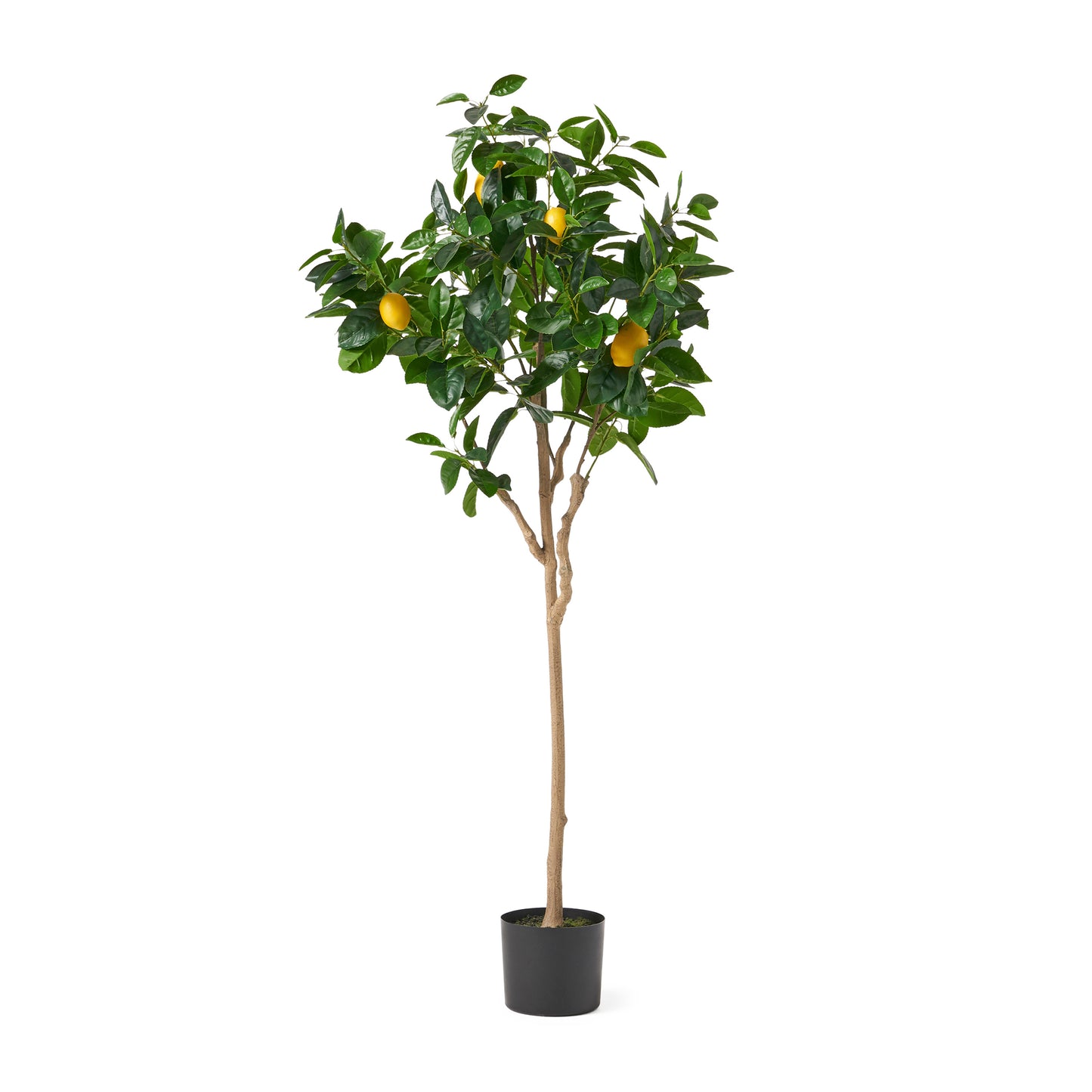 Jiron Modern Artificial Lemon Tree