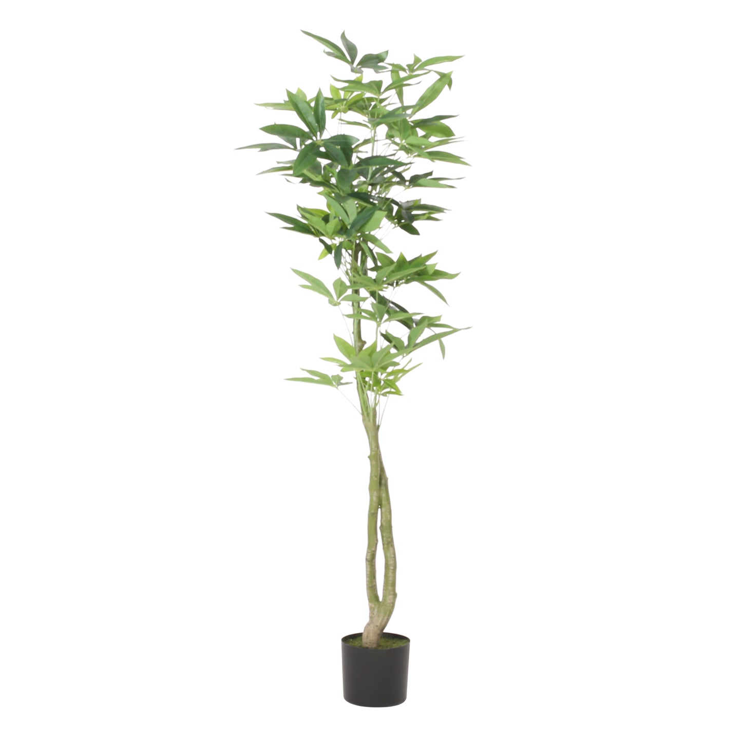 Fitch Contemporary Artificial Plant