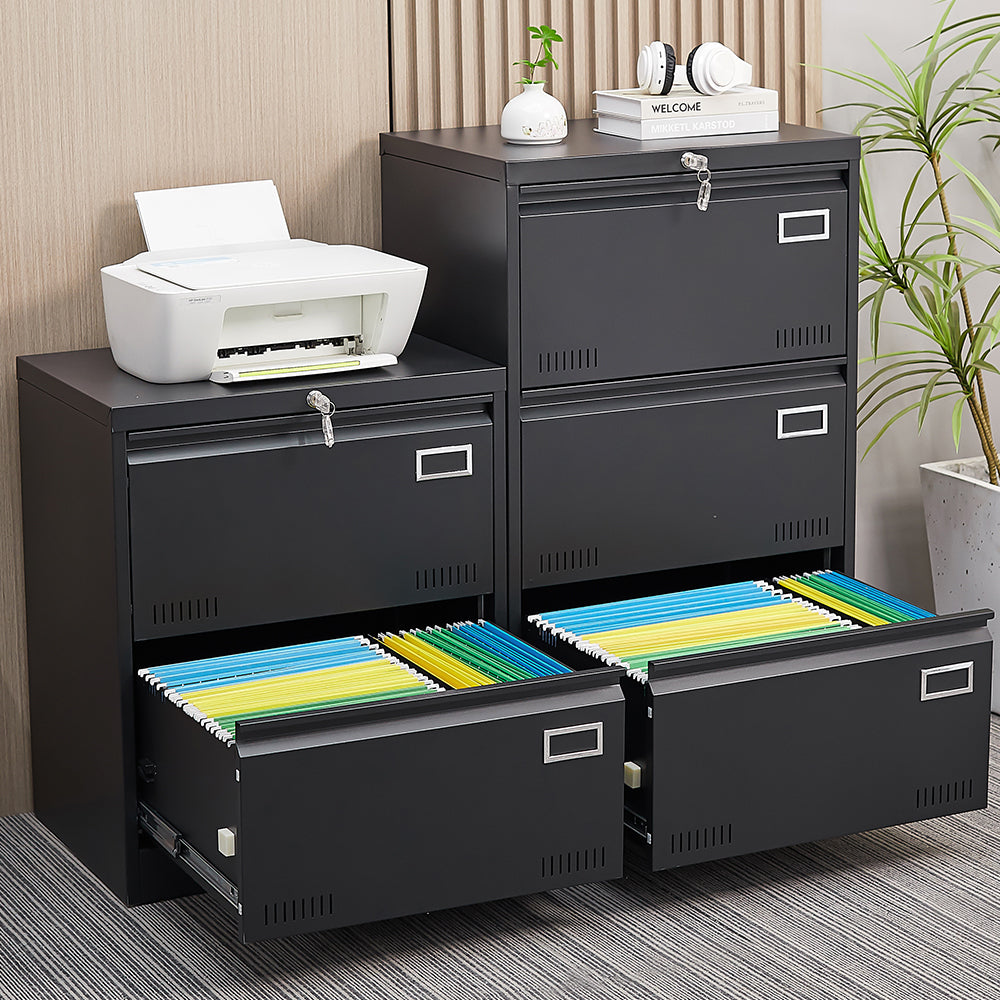 Niles Modern Locking Metal File Cabinet