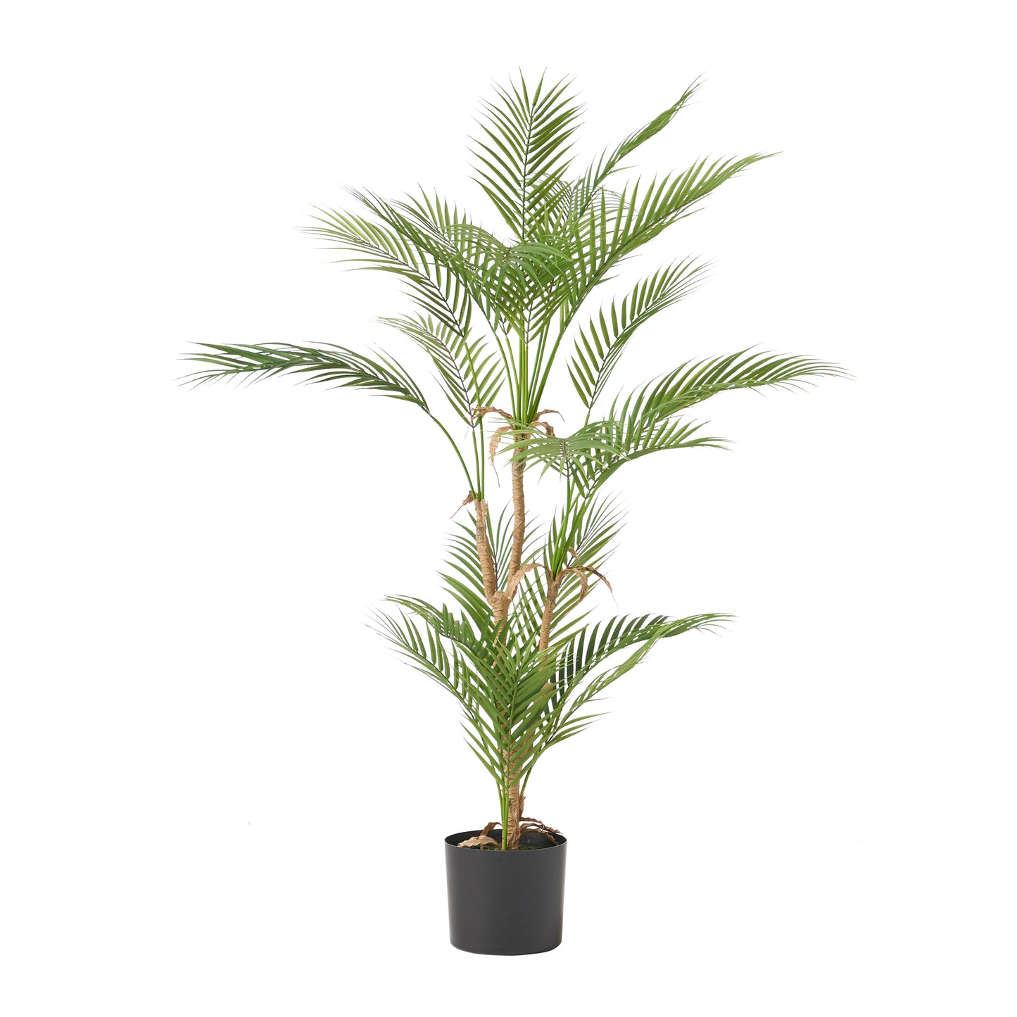 Cleo Contemporary Royal Palm Artificial Tree