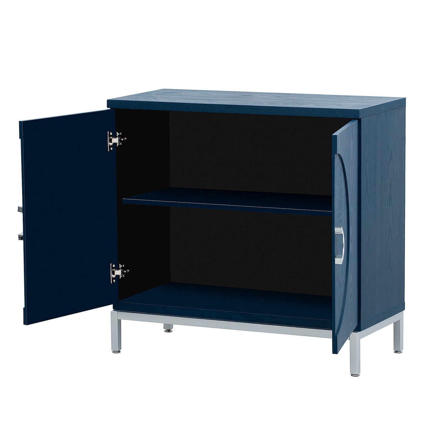 Luz Contemporary Storage Accent Entryway Cabinet
