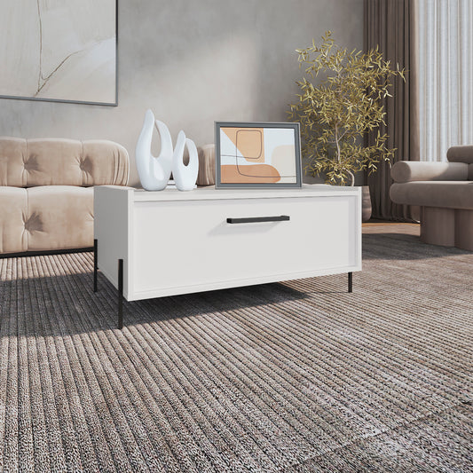 Healdsburg Modern Shan Minimalistic Coffee Table