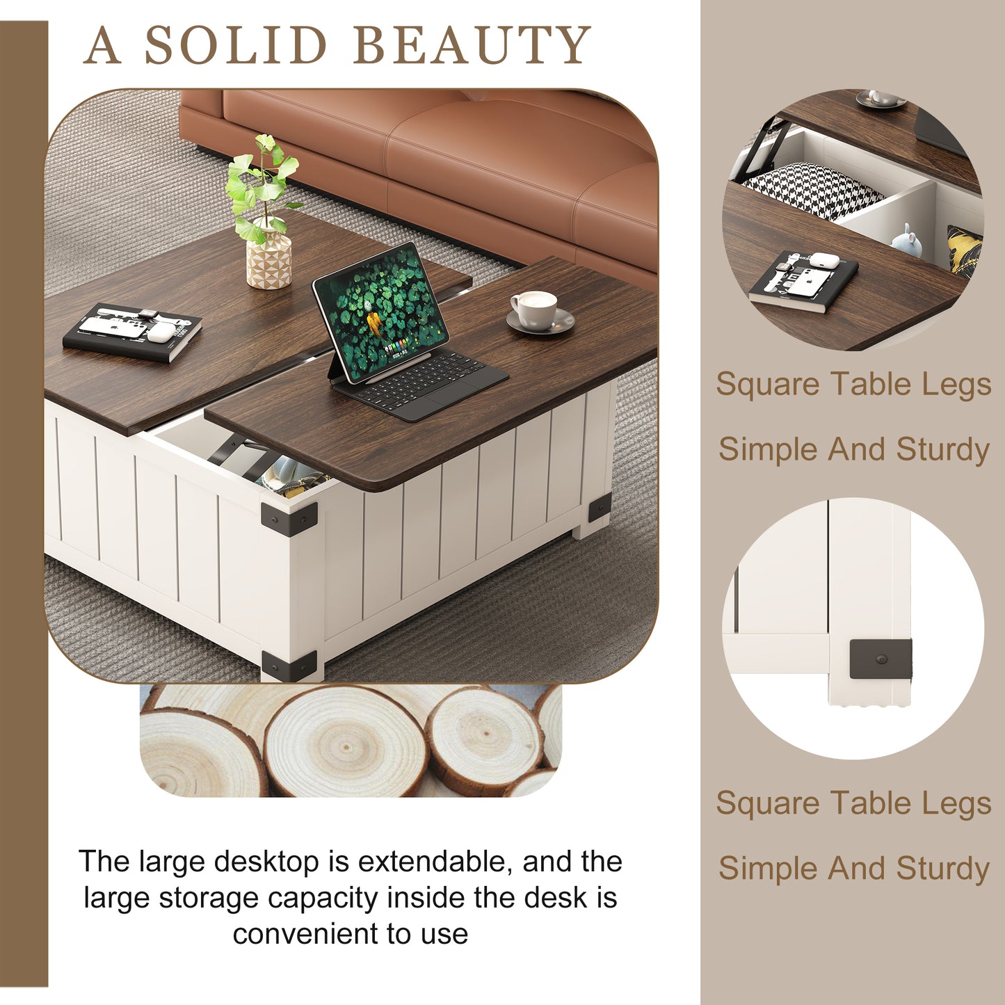 Lula Craftsman Lift Top Coffee Table