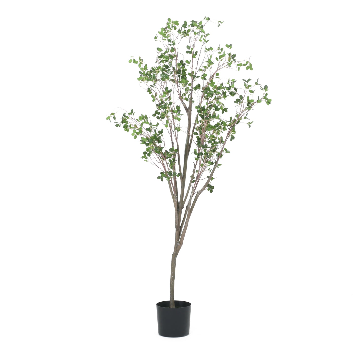 Sonoma Contemporary Elegant Artificial Leaf