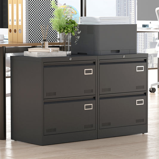 Niles Modern Locking Metal File Cabinet