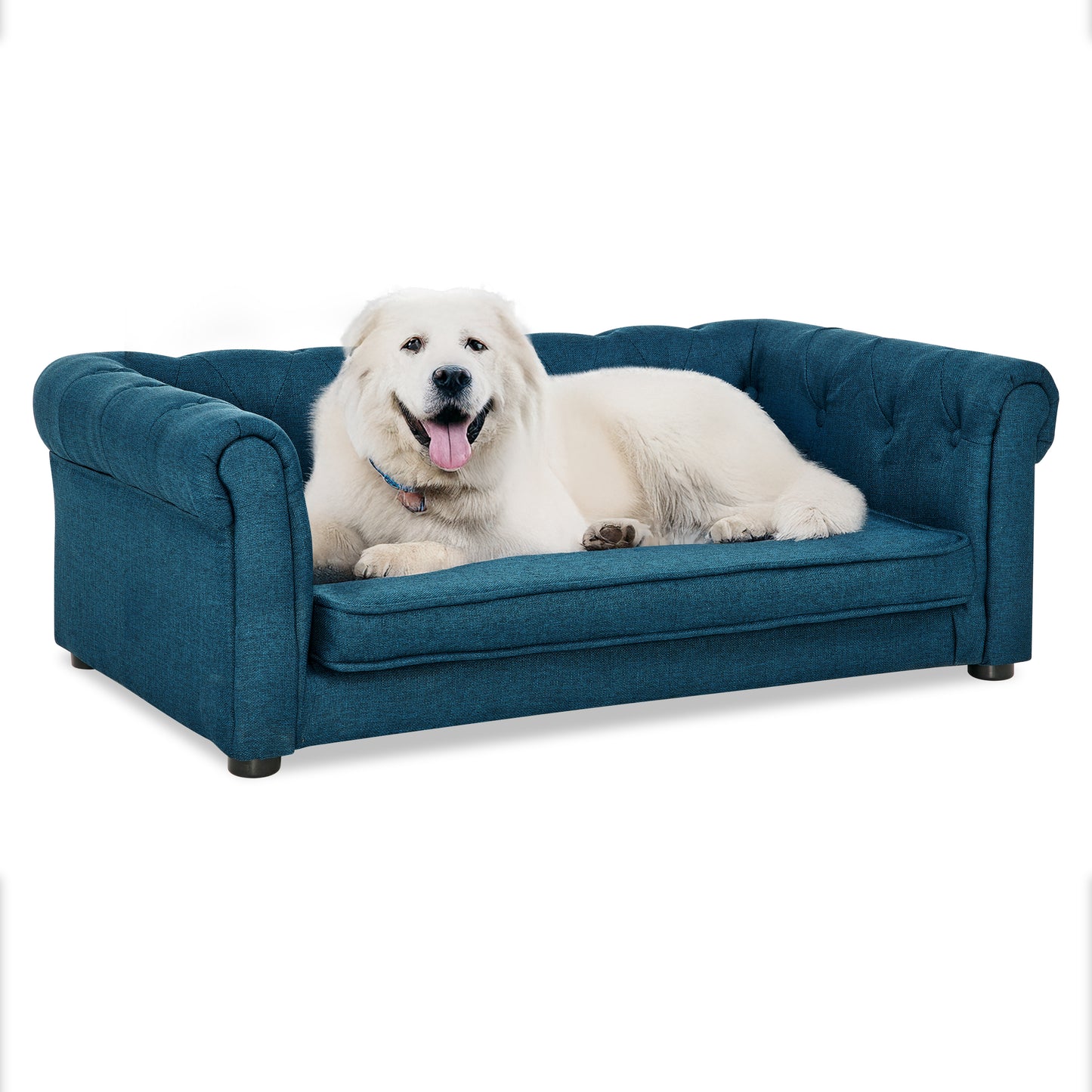 Centerville Modern Elevated Dog Sofa