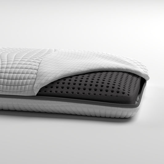 Warmsprings Contemporary Bamboo Charcoal Ventilated Pillow