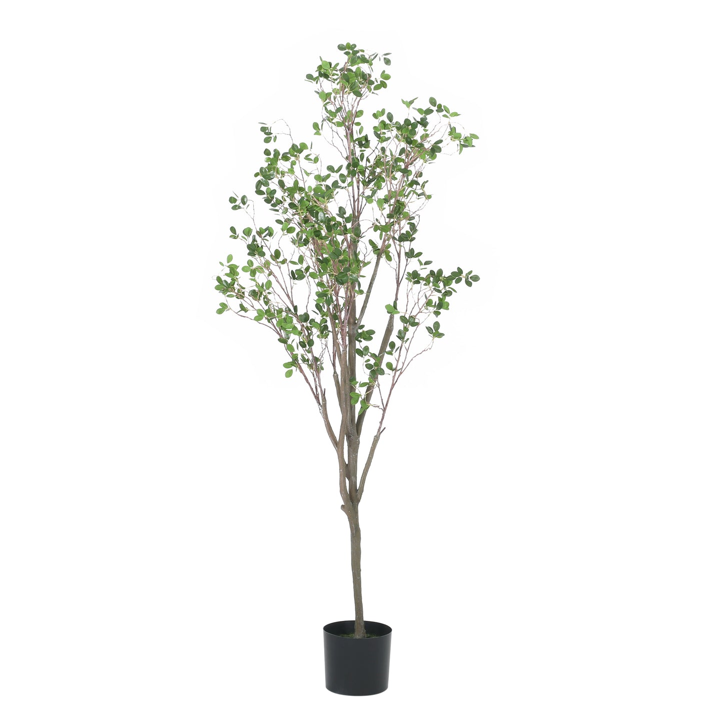 Sonoma Contemporary Elegant Artificial Leaf