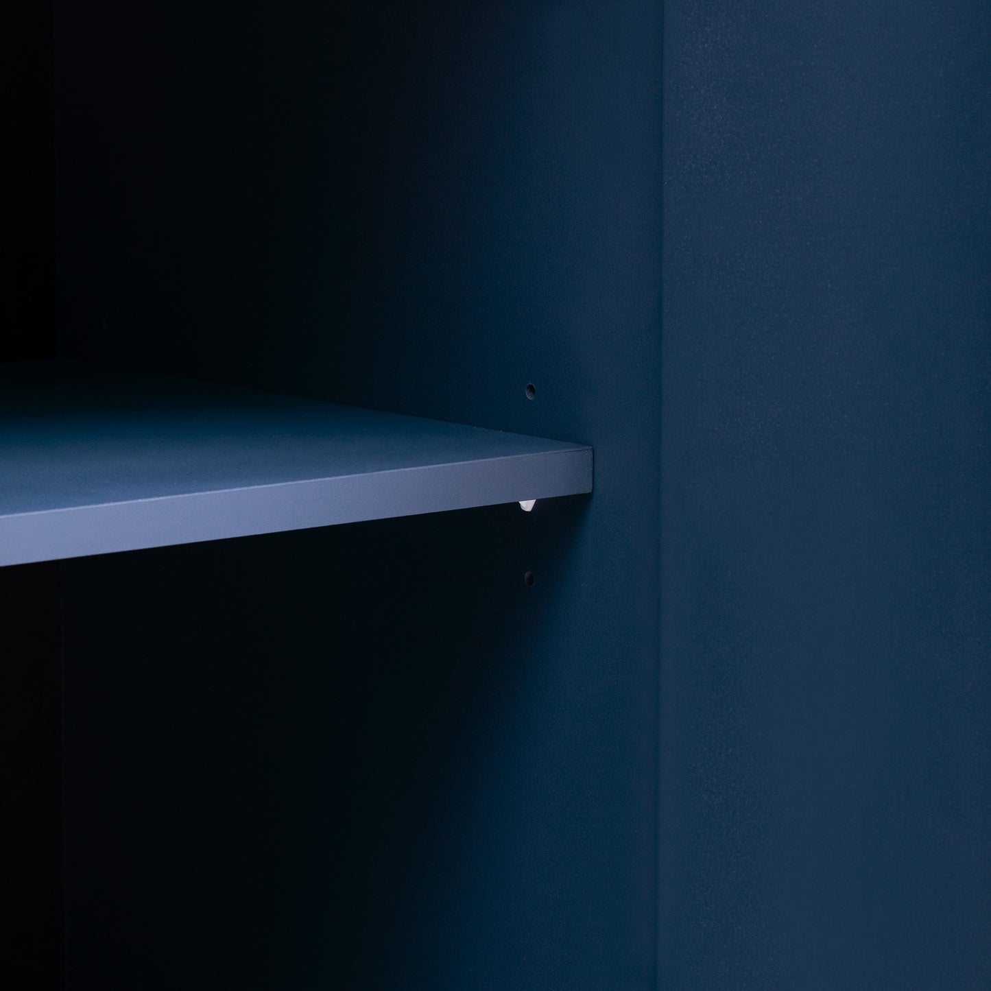 Luz Contemporary Storage Accent Entryway Cabinet