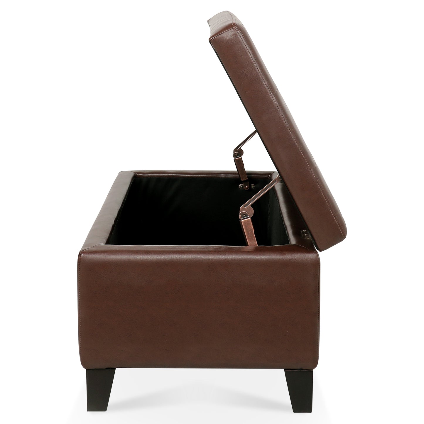 Marites Modern Leather Storage Ottoman