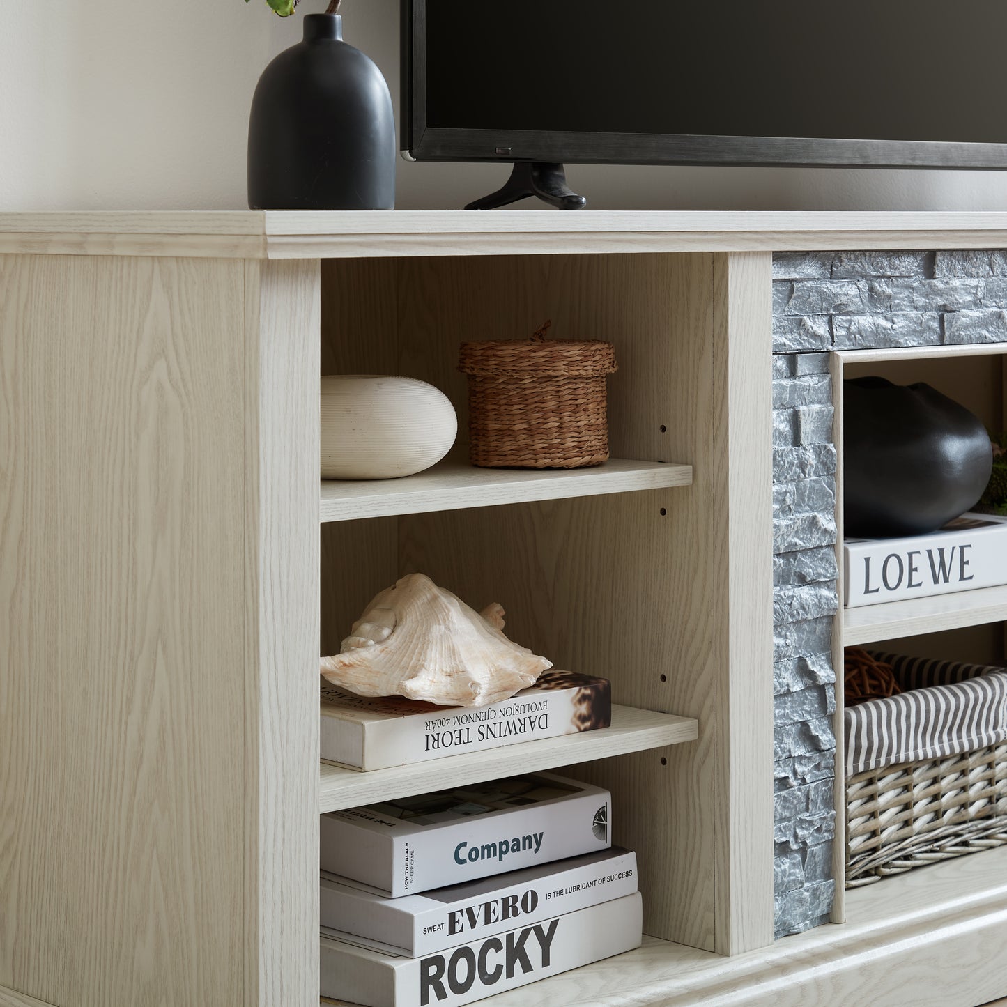Fremont Modern Large TV Desk Storage Rack