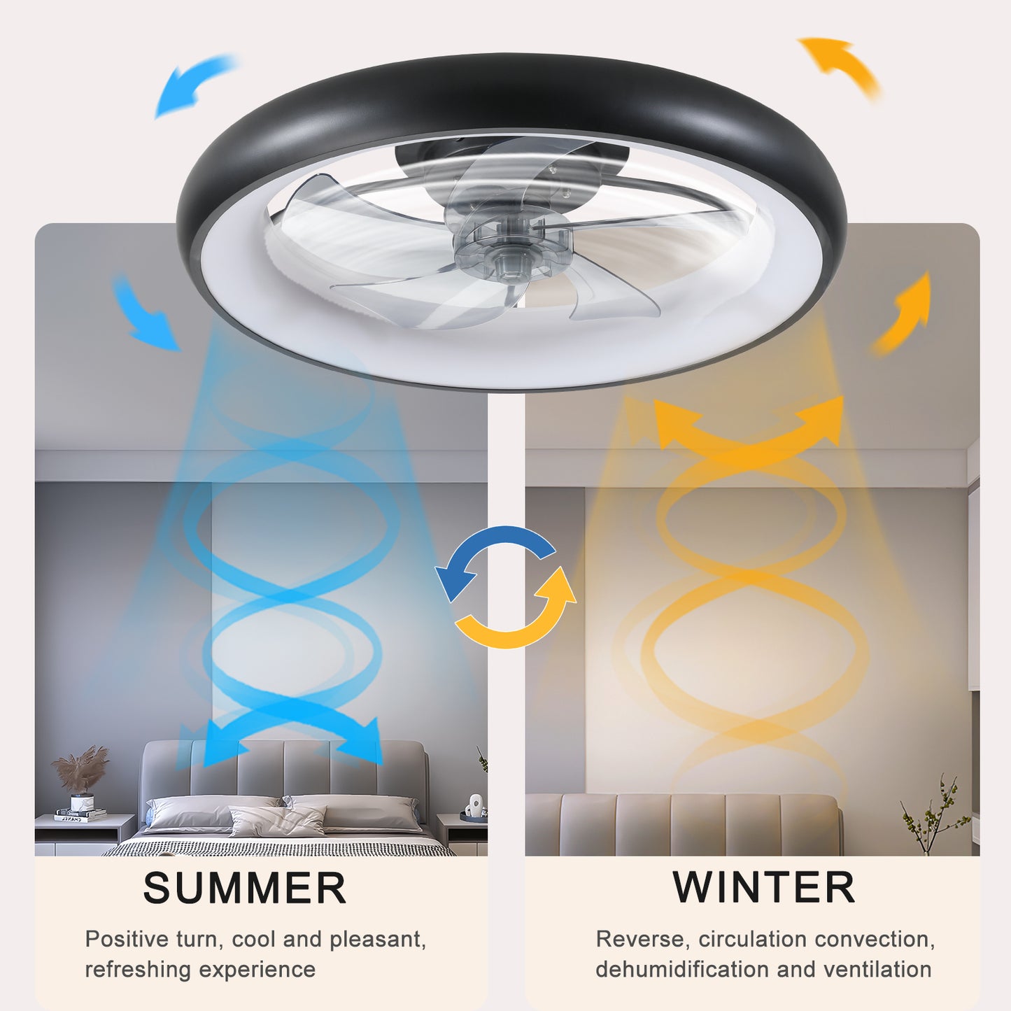 Kingsly Modern Dimmable LED