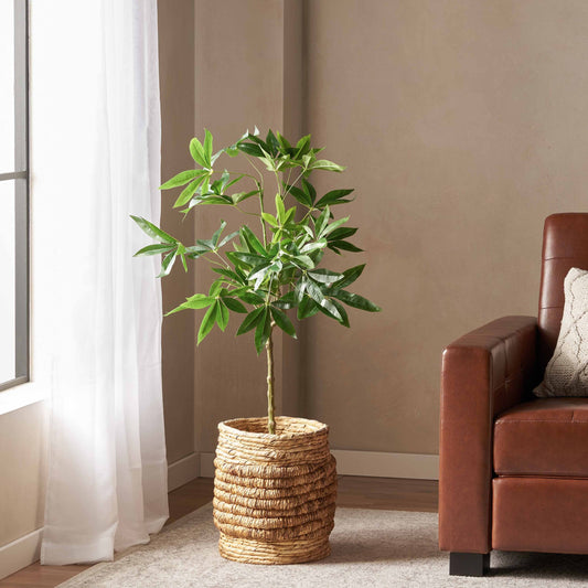 Amity Contemporary Artificial Plant