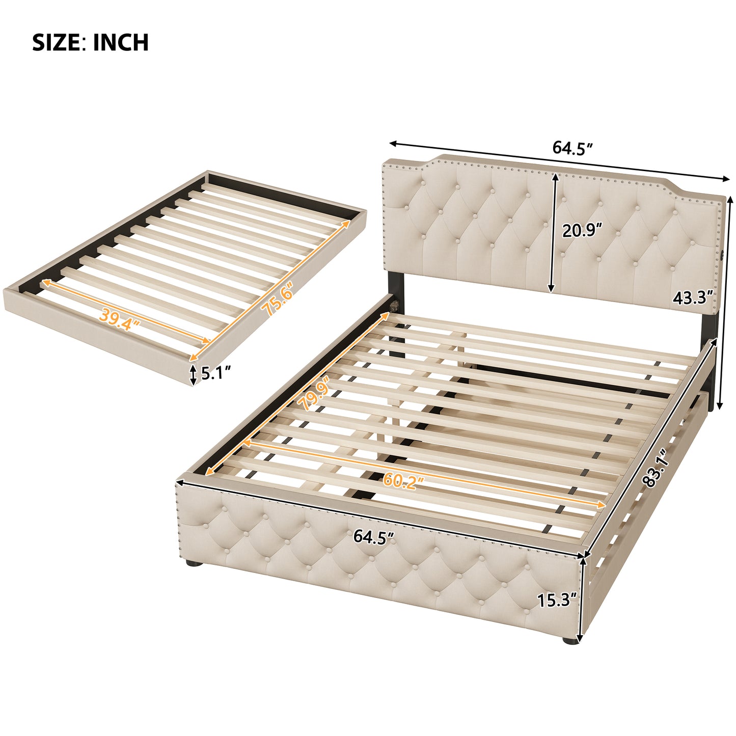 Cleo Contemporary Platform Bed