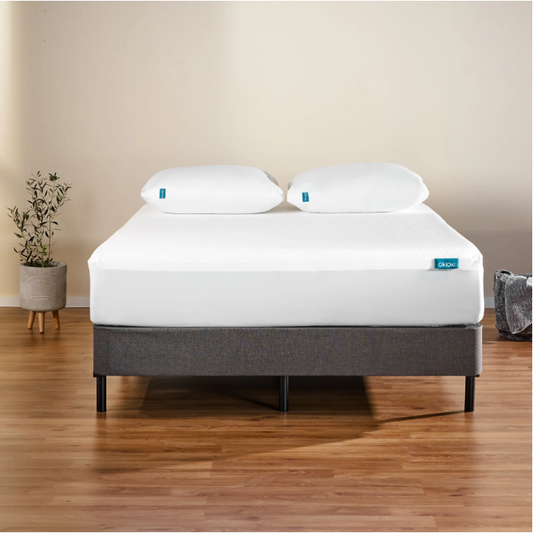 Sonoma Modern Premium Mattress Cover