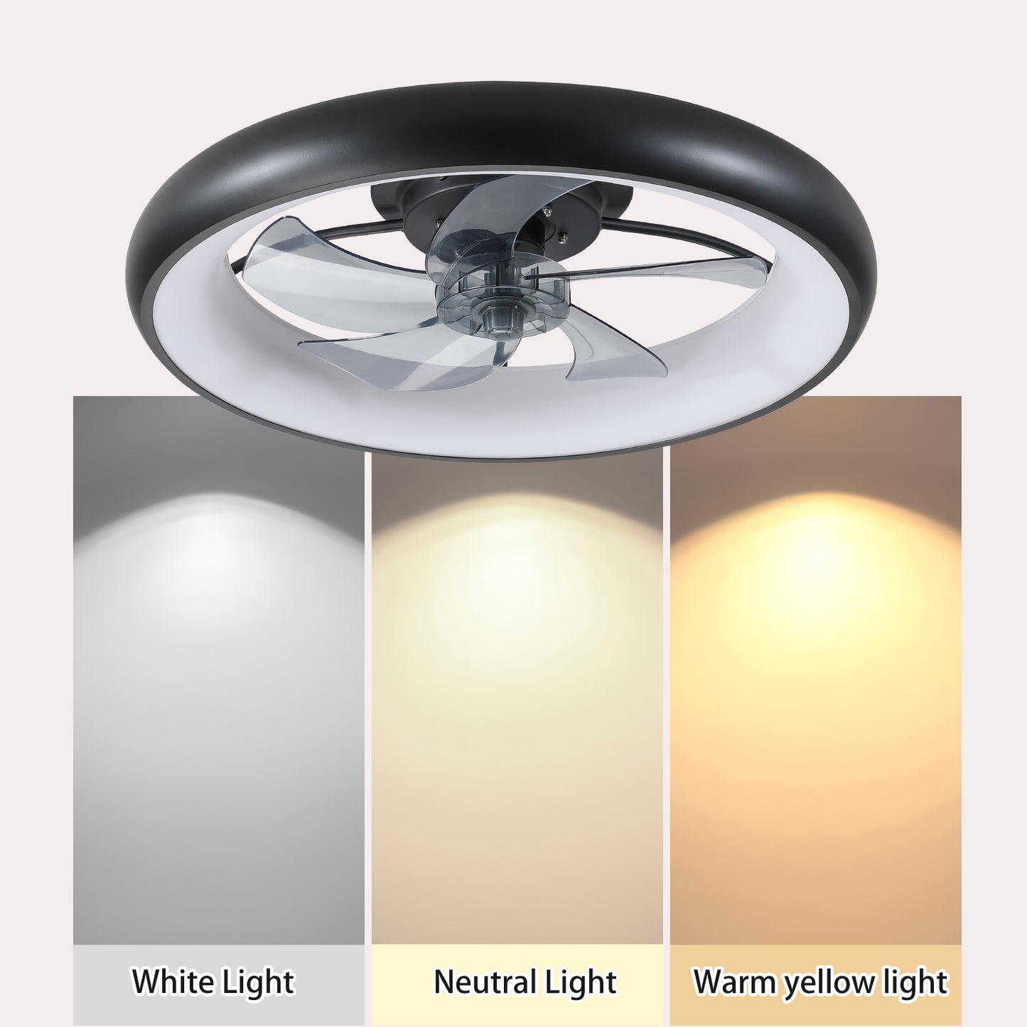 Kingsly Modern Dimmable LED