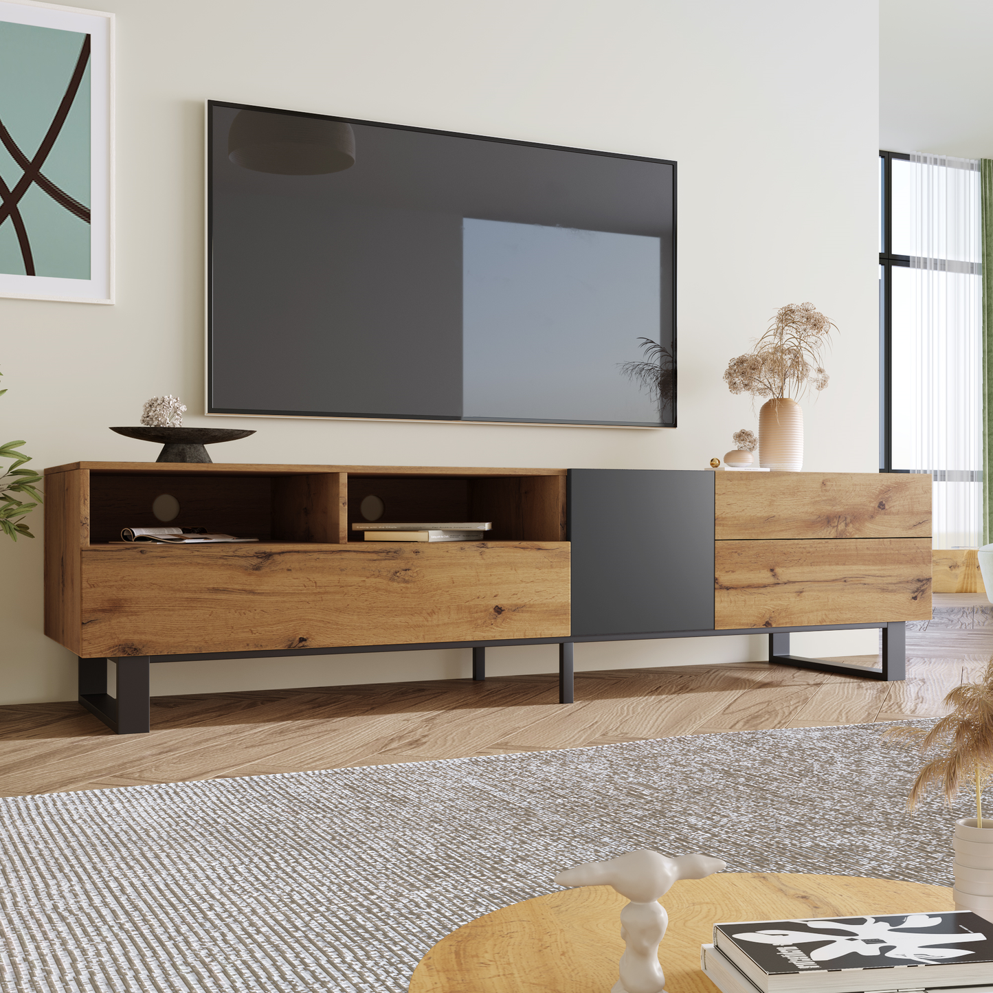 Healdsburg Modern TV Console Entertainment