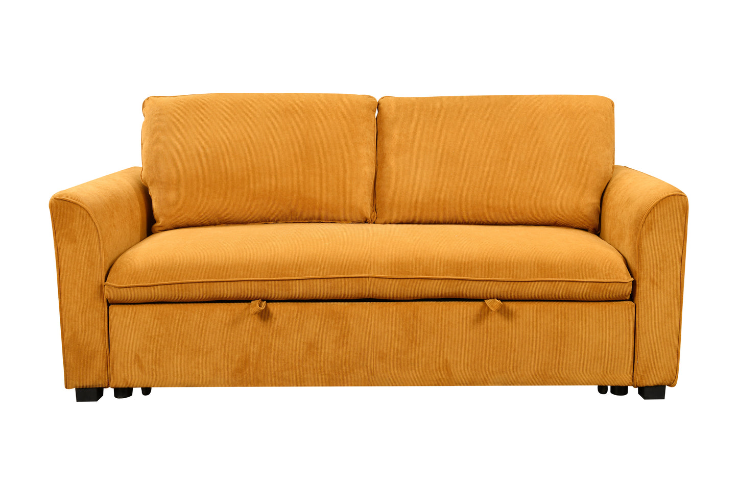Emery Modern Convertible Sleeper Sofa