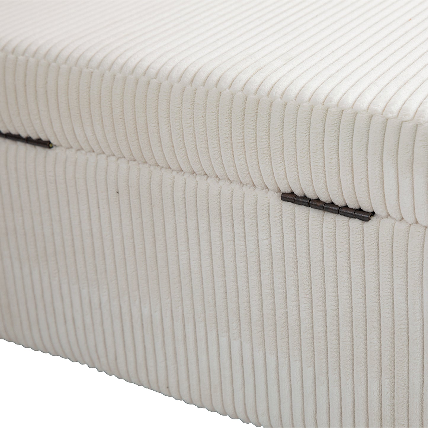 Lula Modern Upholstered Storage Ottoman