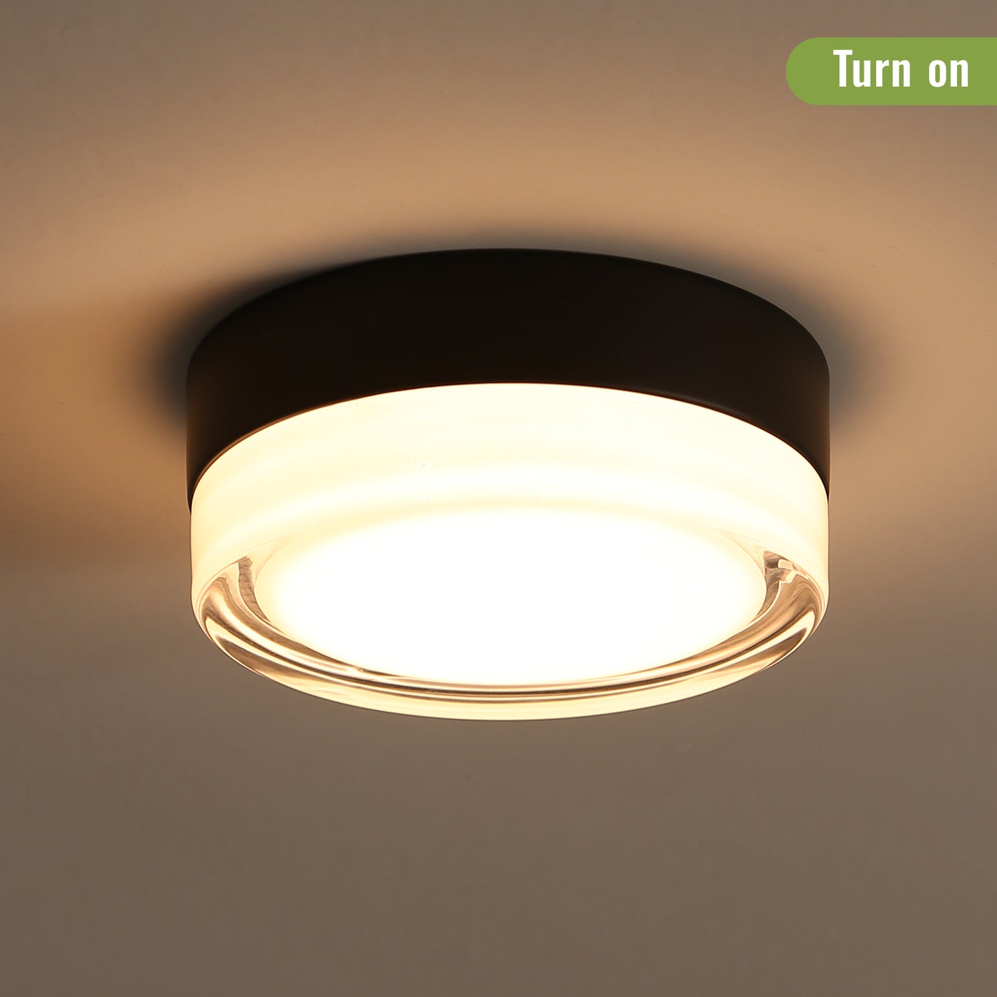 Irvington Modern Small Glass Ceiling Light