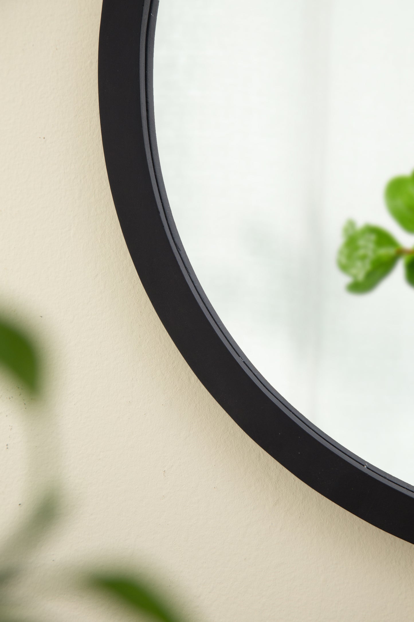 Healdsburg Traditional Circle Wall Mirror