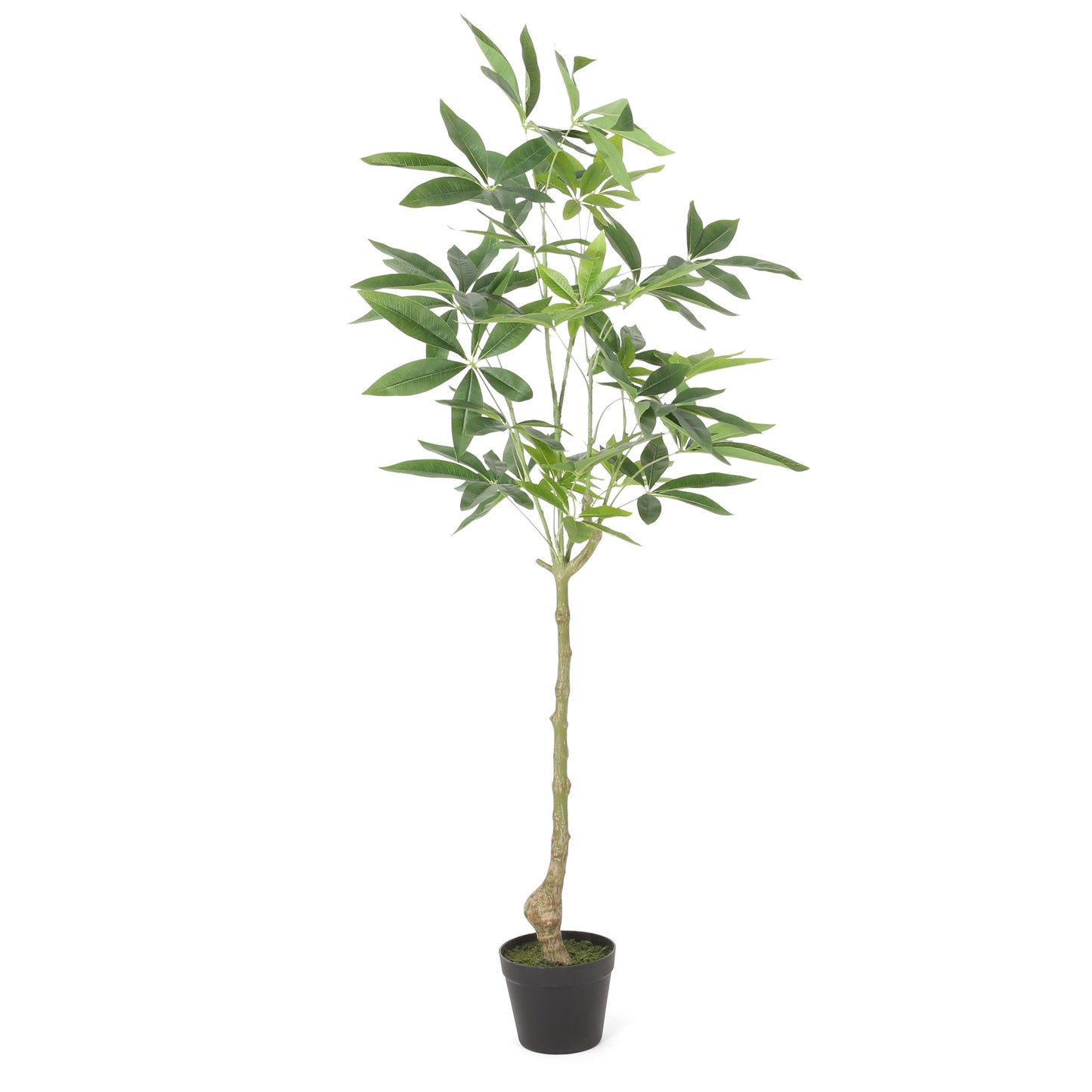 Amity Contemporary Artificial Plant