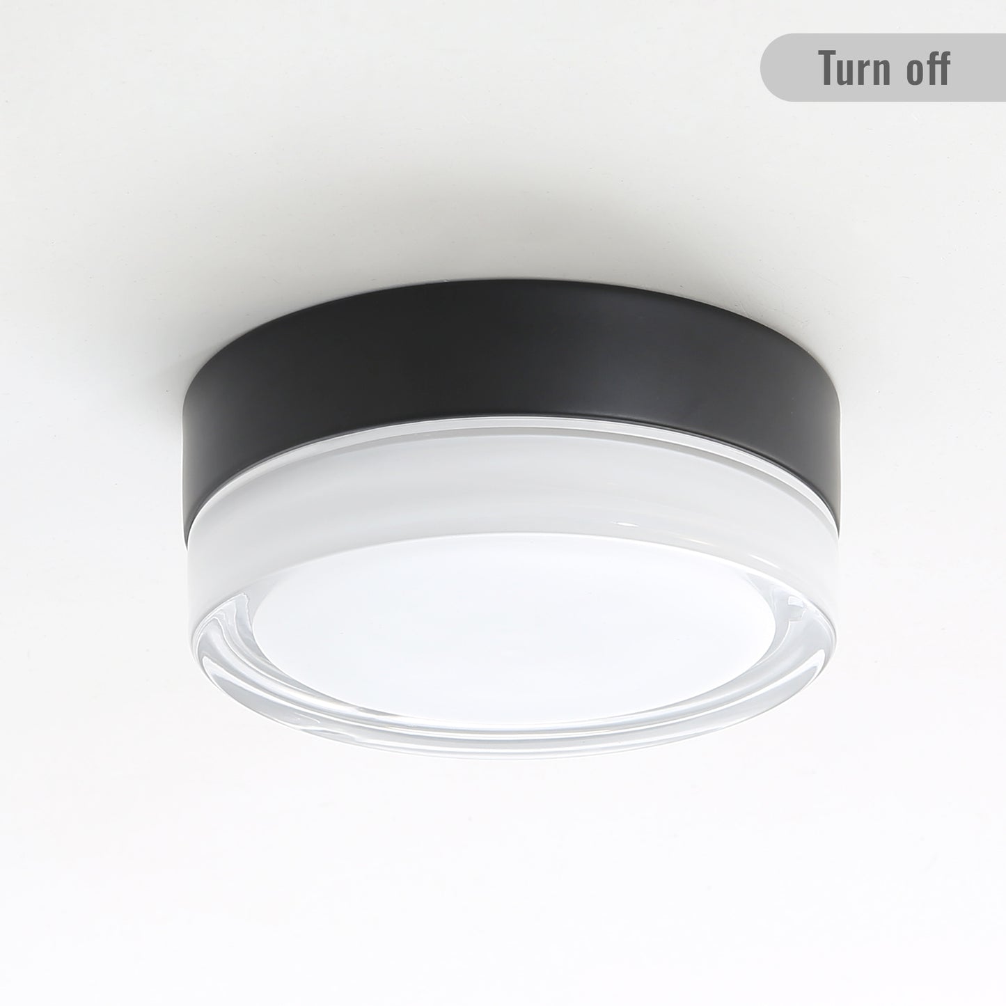 Irvington Modern Small Glass Ceiling Light